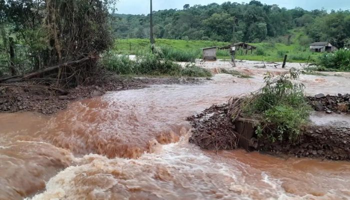 Recuperar vegetação degradada no RS ajuda a prevenir tragédias